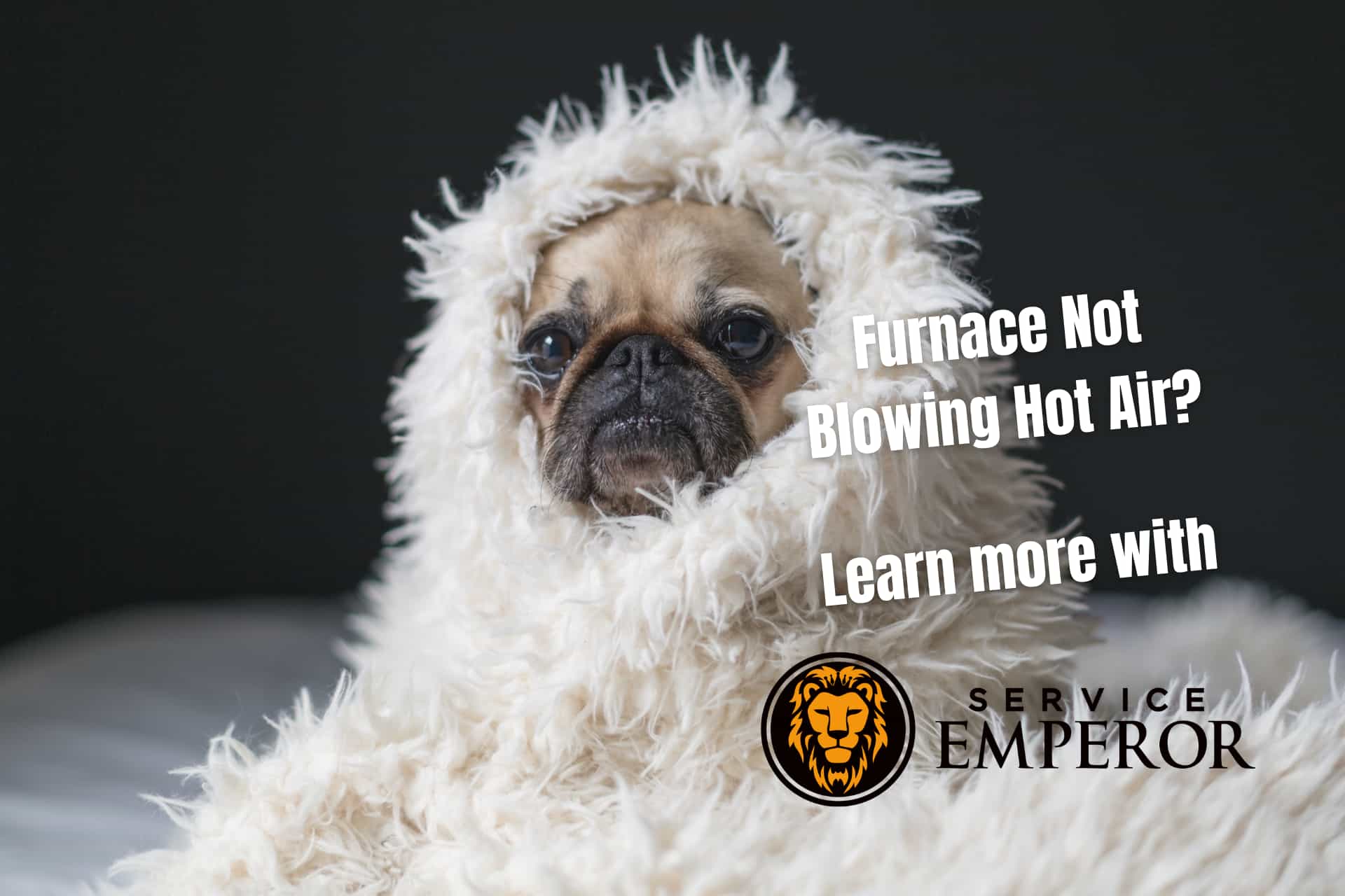 Furnace Not Blowing Hot Air